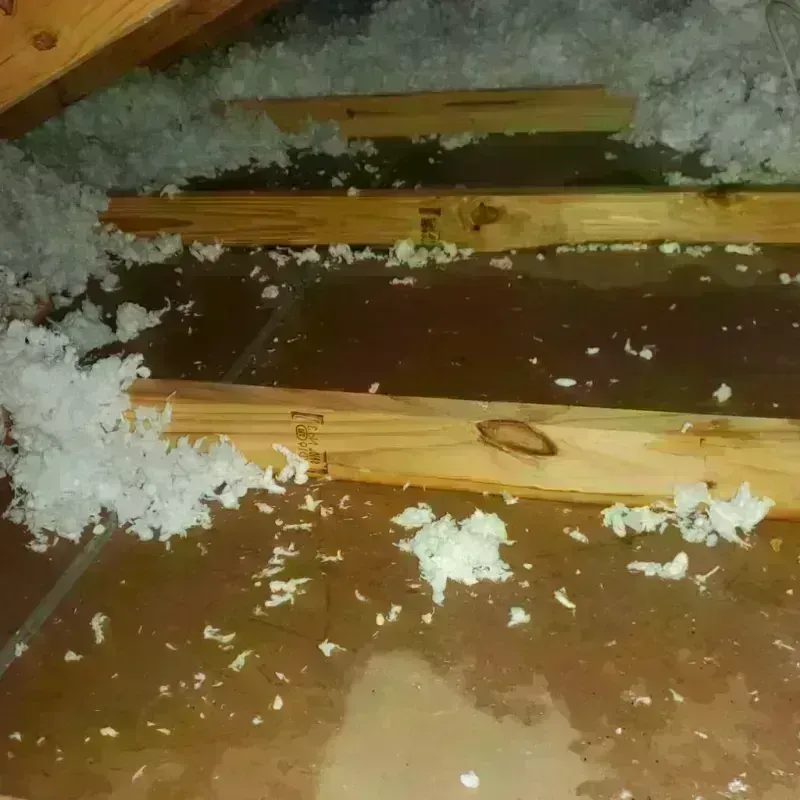 Attic Water Damage in Gardnerville Ranchos, NV